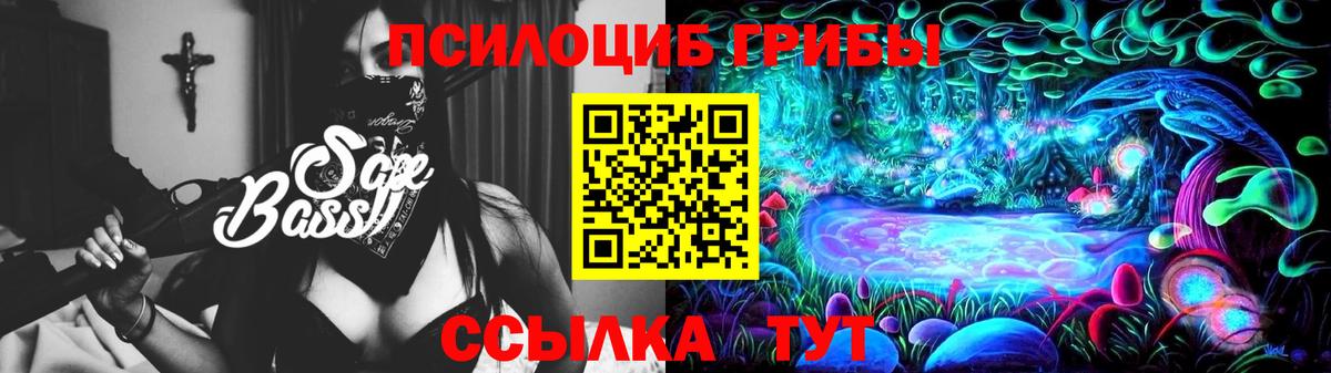 Электросталь  дарнет шоп  Вход с VPN  Псилоцибиновые грибы GOLDEN TEACHER 