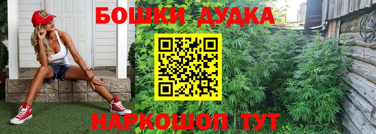Канабис Bruce Banner  Вход с VPN  Шишки марихуана ГИДРОПОН  Каннабис план  Электросталь  Конопля семена 